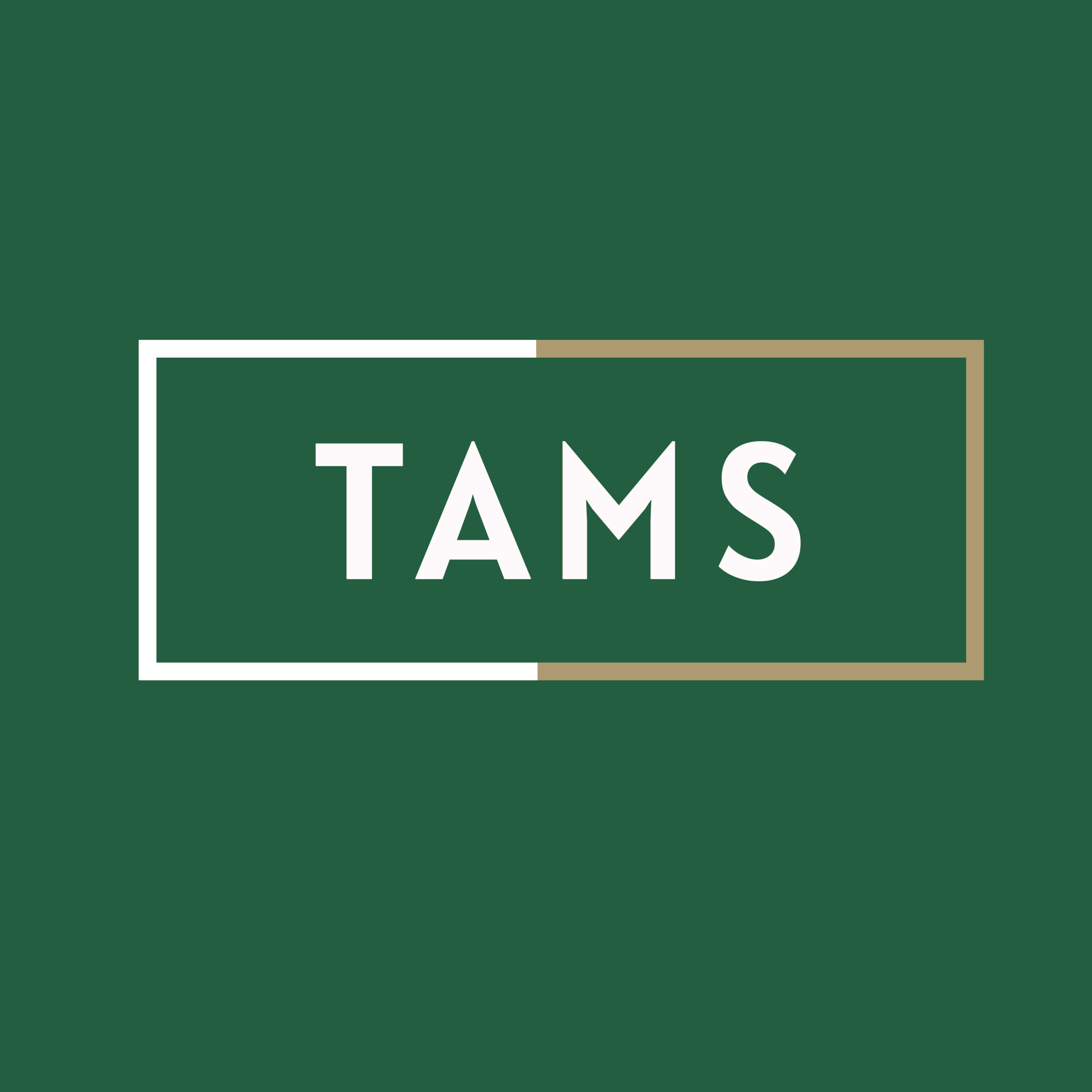 Tams Consulting